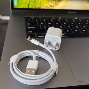 Apple USB to Lightning Cable & Charging Brick